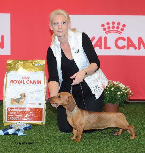 Saturannan Nostalgia